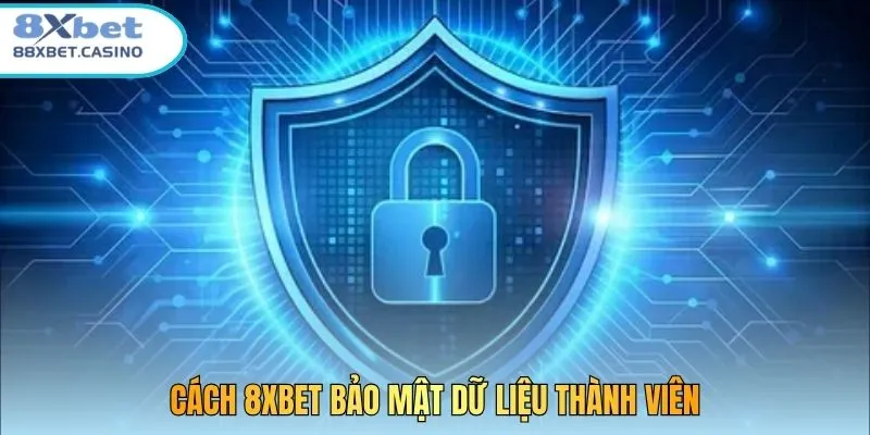 Cách 8xbet bảo mật dữ liệu thành viên