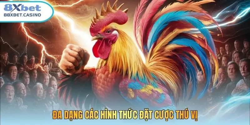 Đa dạng các hình thức đặt cược thú vị