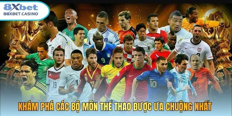 Khám phá các bộ môn thể thao được ưa chuộng nhất