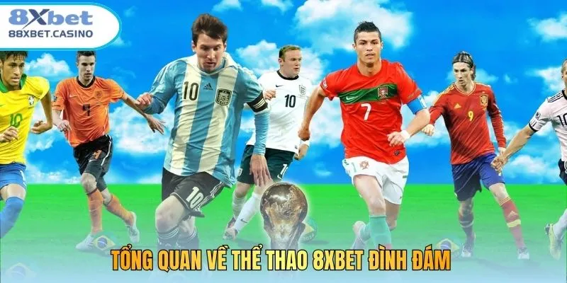 Tổng quan về thể thao 8XBET đình đám