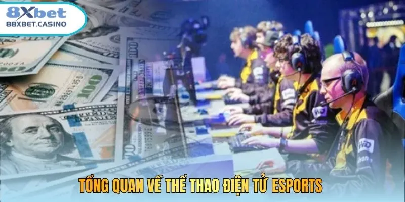 Tổng quan về thể thao điện tử Esports