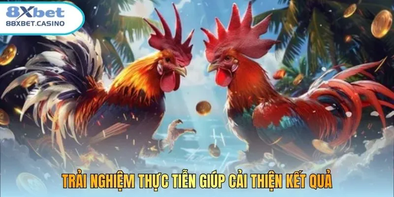 Trải nghiệm thực tiễn giúp cải thiện kết quả